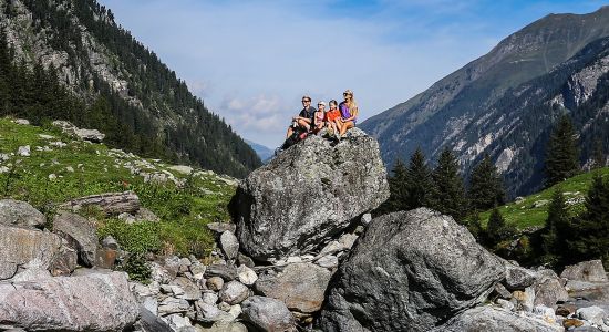 Ein Sommer in den Bergen